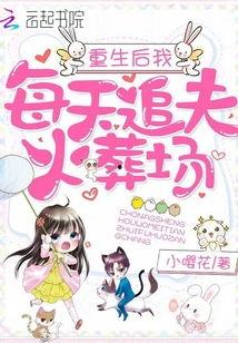 重生之追夫火葬场,追夫路上的火葬场奇遇记